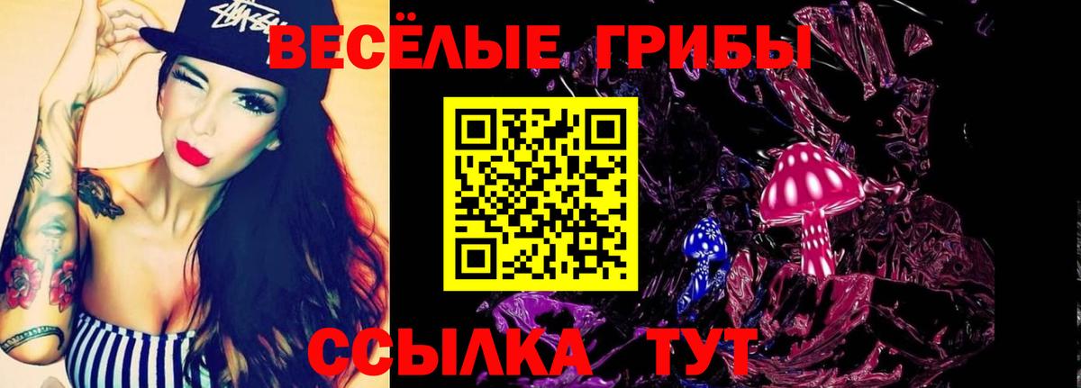 Галлюциногенные грибы Psilocybine cubensis Камышлов